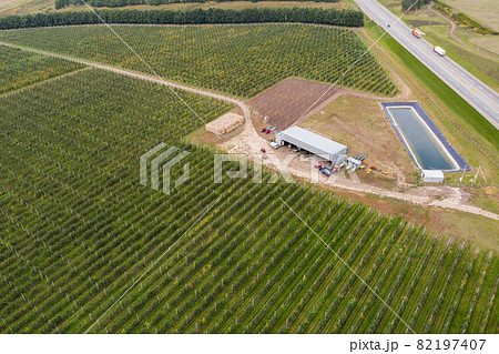 Aerial view of apple orchard Aerial view of apple orchard 82197407