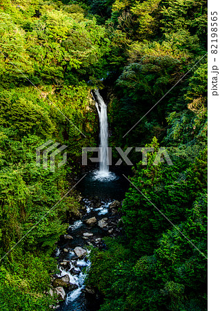 大棚の滝と須津川渓谷 82198565