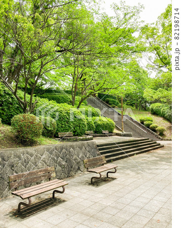 公園のベンチ 82198714