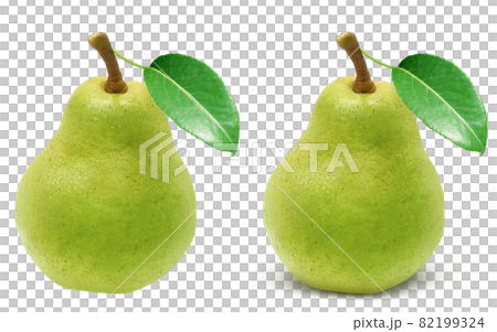 Pear La France Illustration Real 82199324