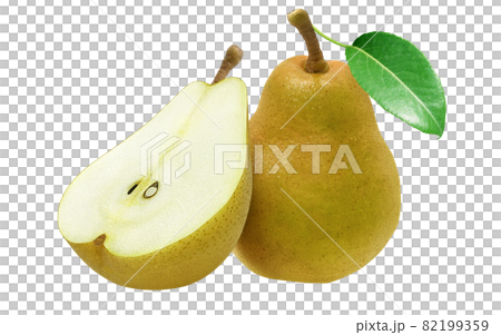 洋梨 ラ フランス イラスト リアル セットのイラスト素材