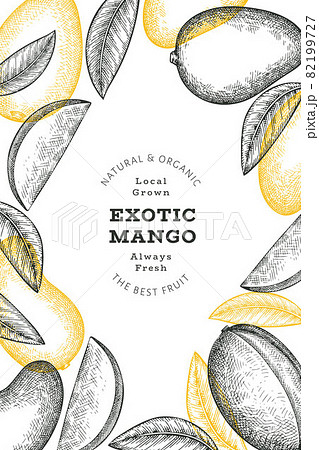Hand drawn sketch style mango banner. Organic fresh fruit vector illustration. Retro mango fruit design template 82199727
