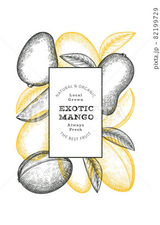 Hand drawn sketch style mango banner. Organic fresh fruit vector illustration. Retro mango fruit design template 82199729