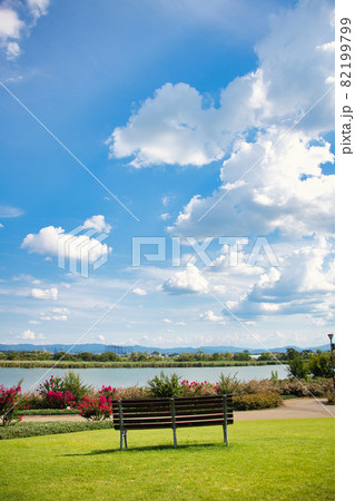 滋賀県　水生植物公園みずの森2021夏 82199799