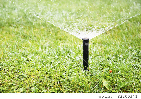 Irigate, sprinkler head dispersing water on grass Irigate, sprinkler head dispersing water on grass 82200341