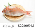 鯛 82200548