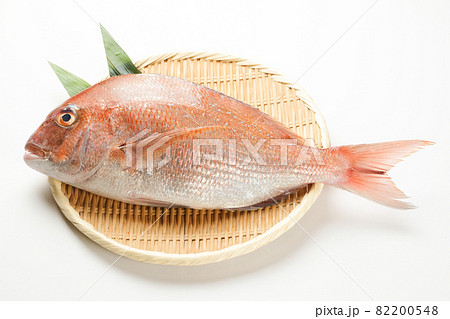 鯛 82200548