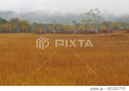 尾瀬の風景1　秋の紅葉と朝霧 82202735