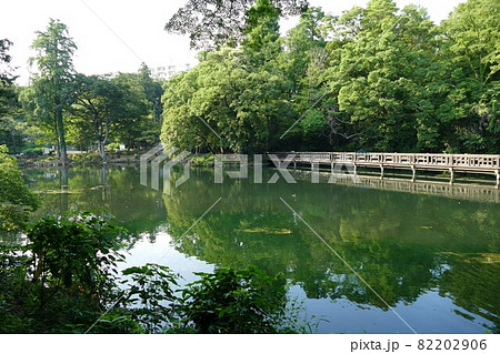 都立公園   井の頭恩賜公園 いのかしらおんしこうえん  井の頭池   東京都武蔵野市と三鷹市  82202906