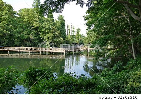 都立公園   井の頭恩賜公園 いのかしらおんしこうえん  井の頭池   東京都武蔵野市と三鷹市  82202910