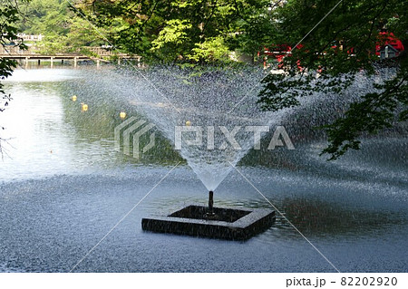 都立公園 井の頭恩賜公園 いのかしらおんしこうえん 井の頭池 東京都武蔵野市と三鷹市 都立公園 井の頭恩賜公園 いのかしらおんしこうえん 井の頭池 東京都武蔵野市と三鷹市 82202920