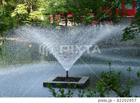 都立公園   井の頭恩賜公園 いのかしらおんしこうえん  井の頭池   東京都武蔵野市と三鷹市  82202957