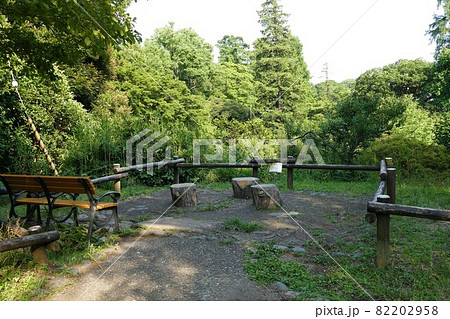 都立公園 井の頭恩賜公園 いのかしらおんしこうえん 井の頭池 東京都武蔵野市と三鷹市 都立公園 井の頭恩賜公園 いのかしらおんしこうえん 井の頭池 東京都武蔵野市と三鷹市 82202958