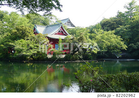 都立公園   井の頭恩賜公園 いのかしらおんしこうえん  井の頭池   東京都武蔵野市と三鷹市  82202962