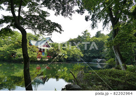 都立公園   井の頭恩賜公園 いのかしらおんしこうえん  井の頭池   東京都武蔵野市と三鷹市  82202964