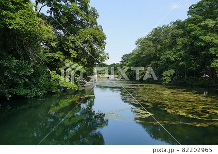 都立公園   井の頭恩賜公園 いのかしらおんしこうえん  井の頭池   東京都武蔵野市と三鷹市  82202965