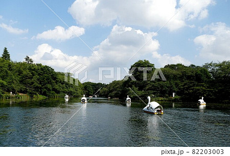都立公園   井の頭恩賜公園 いのかしらおんしこうえん  井の頭池   東京都武蔵野市と三鷹市  82203003