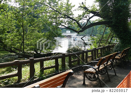 都立公園 井の頭恩賜公園 いのかしらおんしこうえん 井の頭池 東京都武蔵野市と三鷹市 都立公園 井の頭恩賜公園 いのかしらおんしこうえん 井の頭池 東京都武蔵野市と三鷹市 82203017