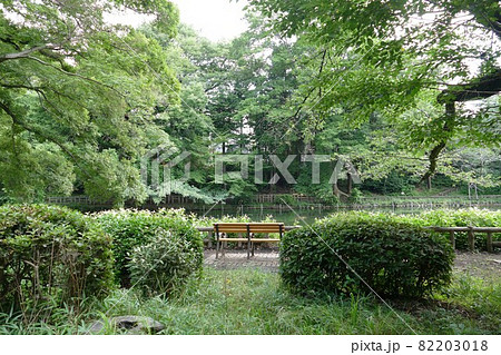 都立公園   井の頭恩賜公園 いのかしらおんしこうえん  井の頭池   東京都武蔵野市と三鷹市  82203018