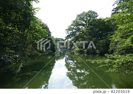 都立公園   井の頭恩賜公園 いのかしらおんしこうえん  井の頭池   東京都武蔵野市と三鷹市  82203019