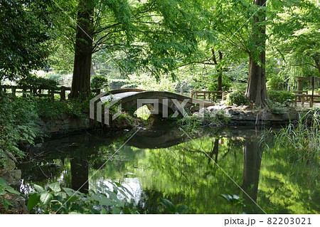 都立公園 井の頭恩賜公園 いのかしらおんしこうえん 井の頭池 東京都武蔵野市と三鷹市 都立公園 井の頭恩賜公園 いのかしらおんしこうえん 井の頭池 東京都武蔵野市と三鷹市 82203021