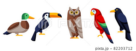 Set of stylized birds. Image of wild birds in simple style. 82203712