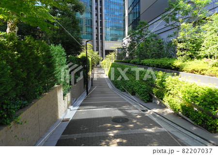 9月　港区645御組坂･六本木 82207037