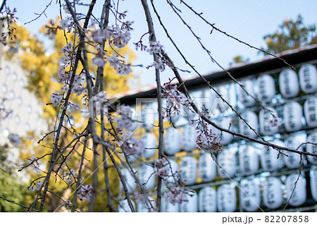 上野恩賜公園の碑周辺／東京都台東区上野公園 82207858