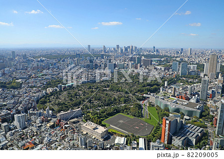 青山霊園と新宿副都心の高層ビル群 82209005