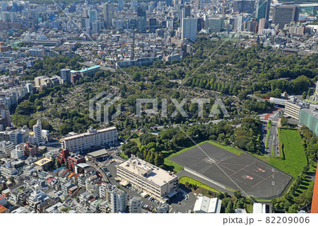 青山霊園 82209006