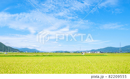 秋の田んぼ 秋の田んぼ 82209555
