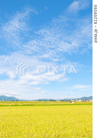 秋の田んぼ 秋の田んぼ 82209560