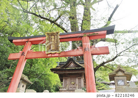 信貴山　朝護孫子寺のかやの木稲荷 82210246