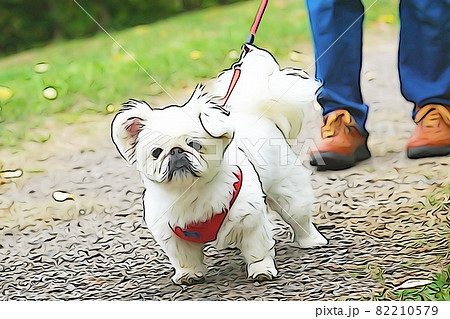 パステル調 ”公園を散歩する小型犬” イラストイメージ パステル調 ”公園を散歩する小型犬” イラストイメージ 82210579
