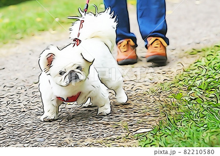 パステル調 公園を散歩する小型犬 イラストイメージのイラスト素材