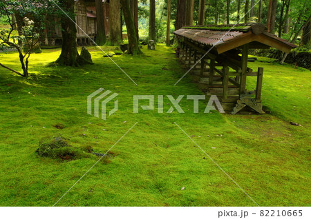 日用苔の里　日用神社　石川県小松市日用町 82210665