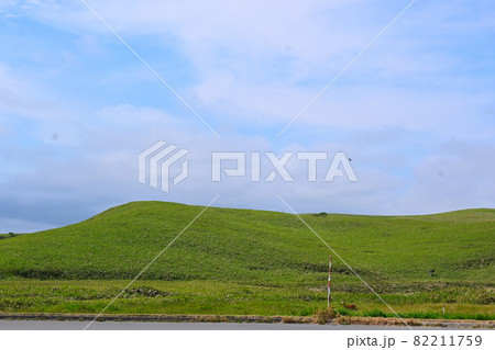 北海道稚内市 宗谷岬付近原野(野生の鹿付き) 北海道稚内市 宗谷岬付近原野(野生の鹿付き) 82211759