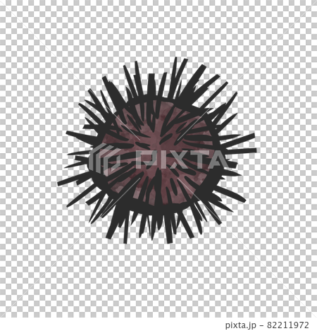 紫ウニの手描き筆絵風イラスト 紫ウニの手描き筆絵風イラスト 82211972