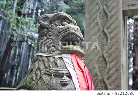 大岩神社 石鳥居と狛犬 大岩神社 石鳥居と狛犬 82212636