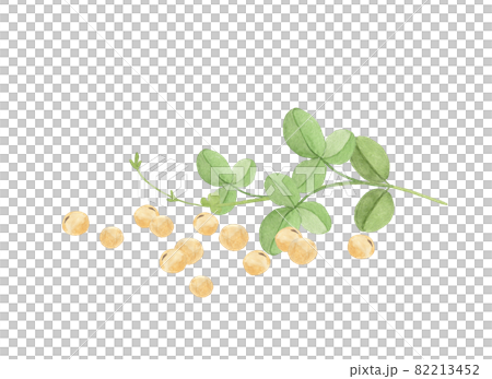 大豆と葉の水彩画 82213452