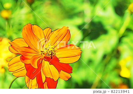 パステル調 黄花コスモスの花 イラストイメージのイラスト素材