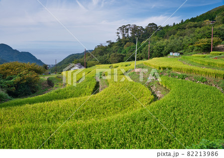 上から見る石部の棚田《静岡県》 上から見る石部の棚田《静岡県》 82213986