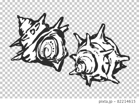サザエの手描き筆絵風イラストのイラスト素材 [82214615] - PIXTA