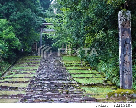 白山神社 境内 白山神社 境内 82215187