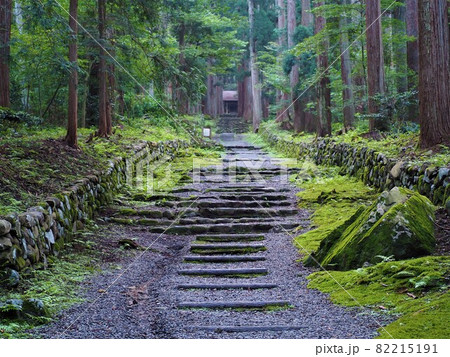 白山神社　境内 82215191