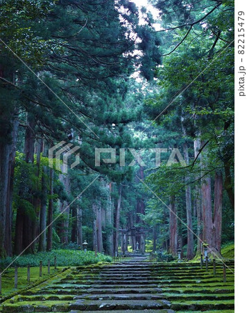平泉寺　白山神社 82215479