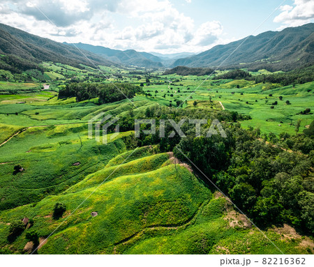 field scenery views and green fields on a clear day field scenery views and green fields on a clear day 82216362