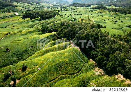 field scenery views and green fields on a clear day field scenery views and green fields on a clear day 82216363
