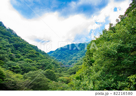 【群馬県 安中市】碓氷第三橋梁 めがね橋 【群馬県 安中市】碓氷第三橋梁 めがね橋 82216580
