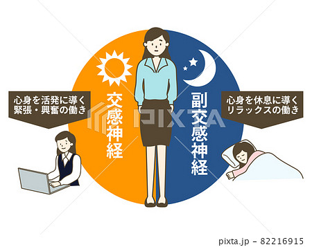 交感神経と副交感神経の働きとバランス 交感神経と副交感神経の働きとバランス 82216915